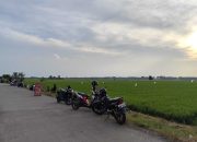 Nikmati Sunset Gratis di Belitang BK 9, Jadi Tempat Favorit Nongkrong Warga OKU Timur