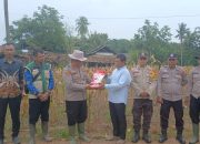 Kapolsek Buay Pemuka Peliung Serahkan Bibit Jagung untuk Dukung Swasembada Pangan 2026