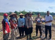 Penyerahan Bibit Jagung Bejo, Polsek Buay Pemuka Peliung Dukung Swasembada Pangan 2026