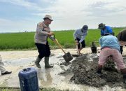 Kapolsek BP Peliung Pimpin Gotong Royong Perbaikan Jalan, Wujudkan Lingkungan Aman dan Asri