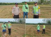 Polisi dan Petani Bersinergi, Program Tanam Jagung 1 Desa 1 Hektar Digelar di Jaya Bakti