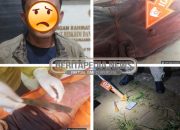 Pelaku Pembunuhan di Madang Suku I Dibekuk Saat Kabur, Tim Gabungan Lakukan Pengejaran Dramatis, Begini Kronologisnya