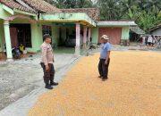 Kapolsek Buay Pemuka Peliung Arahkan Petani Jual Jagung ke Bulog, Dukung Stabilitas Harga Panen
