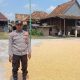 Kapolsek Buay Pemuka Peliung Dampingi Petani, Arahkan Penjualan Jagung ke BULOG