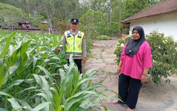 Polsek Belitang II Lakukan Pengecekan Lahan Ketahanan Pangan Milik Warga di Desa Darma Buana