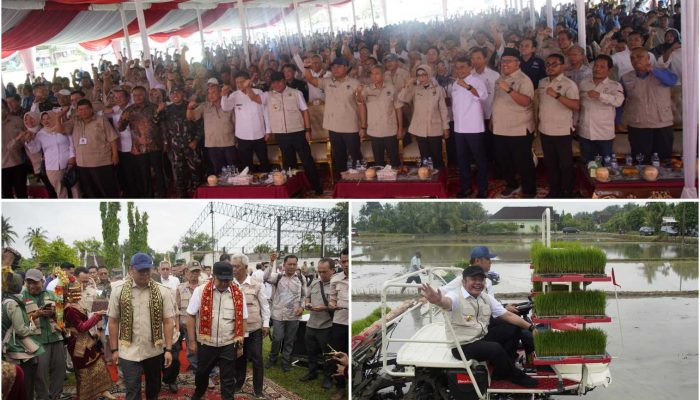 Antisipasi Kemarau Ekstrem, Pemerintah Dorong Tanam Cepat dan Perkuat Organisasi Petani di OKU Timur