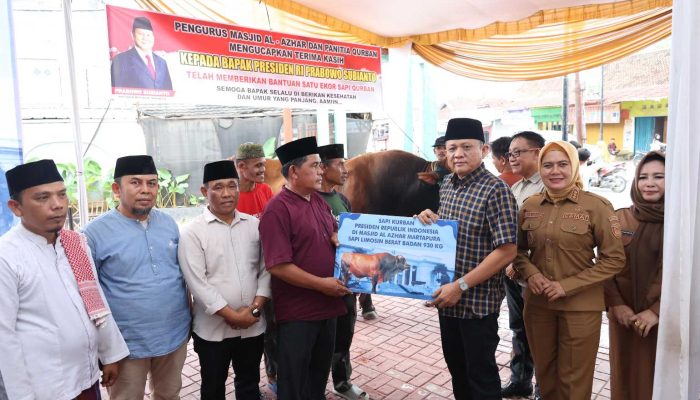 Sapi Limousin 1 Ton dari Presiden Prabowo untuk Warga OKU Timur, Dipusatkan di Masjid Al-Azhar Martapura