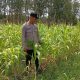 Bhabinkamtibmas Belitang II Cek Lahan Jagung Warga, Dukung Program Ketahanan Pangan Nasional