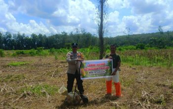 Bhabinkamtibmas Desa Petanggan Dukung Ketahanan Pangan Lewat Penanaman Jagung Hibrida