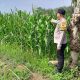 Brigpol Suyudi Tinjau Lahan Jagung Warga di Belitang Madang Raya, Perkuat Ketahanan Pangan