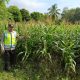 Polisi Lakukan Monitoring Lahan Jagung di Belitang Madang Raya, Dukung Ketahanan Pangan Nasional