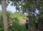 Personel Polsek BP Peliung Pantau Debit Air Sungai Komering, Pastikan Pemukiman Warga Tetap Aman