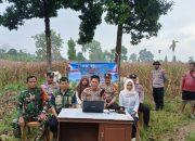 Dukung Ketahanan Pangan Nasional, Polsek BP Peliung Ikuti Zoom Meeting Panen Raya Bersama Presiden Prabowo Subianto