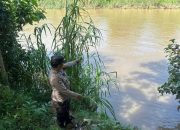 Antisipasi Dampak Curah Hujan Tinggi, Polsek BP Peliung Pantau Debit Sungai Komering