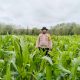 Polsek Belitang II Pantau Program Ketahanan Pangan, Pastikan Produktivitas Lahan Warga Berjalan Baik
