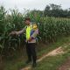 Bhabinkamtibmas Polsek Madang Suku I Monitoring Program Ketahanan Pangan Tanaman Jagung di Desa Jaya Bakti