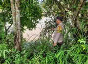 Antisipasi Banjir, Polsek Buay Pemuka Peliung Pantau Debit Air Sungai Komering