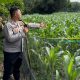 Polsek Madang Suku I Dorong Ketahanan Pangan Melalui Budidaya Jagung di Desa Bangsa Negara