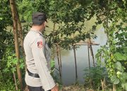 Polsek Buay Pemuka Peliung Lakukan Monitoring Debit Air Sungai Komering, Pastikan Kondisi Pemukiman Warga Aman