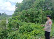 Polsek Buay Pemuka Peliung Pantau Debit Sungai Komering, Pastikan Kondisi Wilayah Tetap Aman