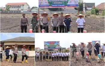 Kapolres OKU Timur Pimpin Penanaman Jagung Hibrida, Wujud Dukungan Nyata terhadap Ketahanan Pangan Nasional