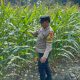 Bhabinkamtibmas Polsek BP Peliung Cek Lahan Jagung di Desa Bantan, Dorong Produktivitas Petani Lokal