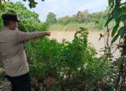 Debit Sungai Komering Berangsur Normal, Polsek BP Peliung Pastikan Permukiman Warga Masih Aman