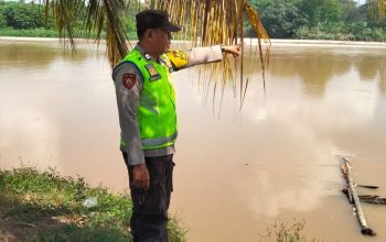 Debit Sungai Komering Surut, Polsek Madang Suku I Pastikan Wilayah Rawan Banjir Masih Aman