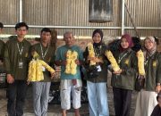 Branding Kemasan Jadi Langkah Baru, Mahasiswa KKN UNUHA Dampingi UMKM Kerupuk Desa Cahya Maju Naik Kelas