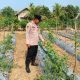 Polsek Belitang II Dorong Ketahanan Pangan, Aipda I Putu Cek Kebun Pare Milik Petani
