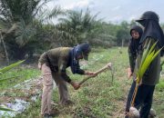 KKN 11 UNUHA Tanam Pohon Kelapa di Pesantren, Dorong Ketahanan Pangan Berkelanjutan