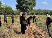 KKN 11 UNUHA Ajak Warga Manfaatkan Lahan Kosong untuk Kebun Kangkung dan Sawi