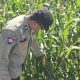 Aipda Haryadi Cek Tanaman Jagung di Bantan, Perkuat Program Ketahanan Pangan
