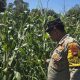 Pantau Tanaman Jagung di Banu Mas, Bhabinkamtibmas BP Peliung Dorong Lahan Kosong Jadi Produktif
