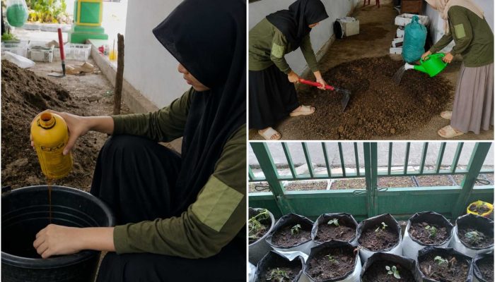 KKN Mandiri 32 UNUHA Bersama Santri ASPI Nurul Huda Olah Media Tanam dengan Pupuk Organik dan EM4