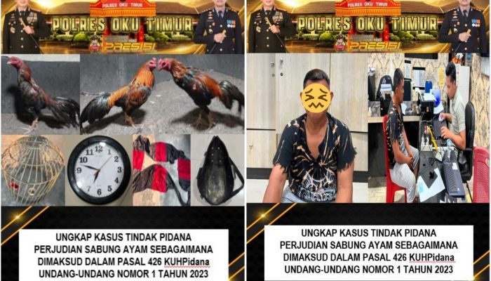 Sabung Ayam di Kotanegara Dibubarkan Polisi, Seorang Pria Diamankan