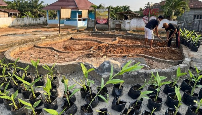 KKN 11 UNUHA Hidupkan Lahan Kosong di Kantor Desa Suka Mulya Jadi Taman Obat Keluarga