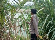 Polisi Pantau Debit Sungai Komering, Sejumlah Titik Rawan Banjir di BP Peliung Dicek