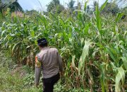 Bhabinkamtibmas Dorong Pemanfaatan Lahan Kosong untuk Ketahanan Pangan di Desa Bantan