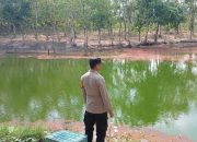 Cegah Karhutla Meluas, Polsek BP Peliung Cek Kondisi Embung di Desa Banuayu