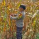 Bhabinkamtibmas Polsek BP Peliung Kawal Ketahanan Pangan, Jagung 1 Hektare di Bantan Terus Dipantau