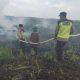 Polsek Cempaka Bergerak Cepat Padamkan Karhutla, 4 Hektare Lahan Gambut PT GNS Terbakar