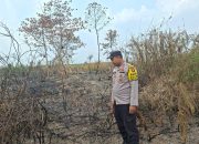 Polsek Madang Suku I Cek Titik Hotspot di Gunung Terang, Api Sudah Padam