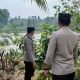 Polsek BP Peliung Pantau Debit Sungai Komering, Kondisi Air Masih Normal dan Surut