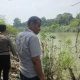 Polsek BP Peliung Pantau Sungai Komering, Debit Air Masih Normal dan Surut