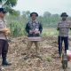 Polsek BP Peliung Dampingi Kelompok Tani Negeri Agung Tanam Jagung Hibrida di Lahan 1,5 Hektare
