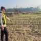 Bhabinkamtibmas Belitang II Pantau Lahan Ketahanan Pangan Jagung di Karang Manik