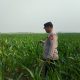 Polsek Belitang II Pantau Lahan Jagung Warga di Sumber Makmur
