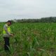 Polsek Belitang II Dampingi Petani Jagung Bentuk Dukungan Ketahanan Pangan Nasional