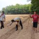 Dukung Ketahanan Pangan, Polsek Madang Suku I Dampingi Penanaman Jagung 1 Hektar di Bangsa Negara